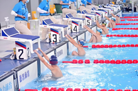 Internat ionaler Standard Anti-Nter nationale Schwimmbad ausrüstung Sprungbrett springen Start block Tauchen Polyester Stahl