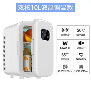10L mini refrigerator Dormitory beauty refrigerator Car home dual-use breast milk special insulin refrigerator