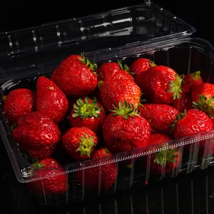 Disposable Clear PET Rectangle With Lid Take-out Hinged Plastic Supermarket Fruit Container