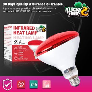 Gran oferta, lámpara roja infrarroja de 250W <span class=keywords><strong>para</strong></span> <span class=keywords><strong>reptiles</strong></span>, luces de calor nocturnas con bombilla de día de cristal <span class=keywords><strong>para</strong></span> mascotas de <span class=keywords><strong>reptiles</strong></span> de pollito - Product Image 4