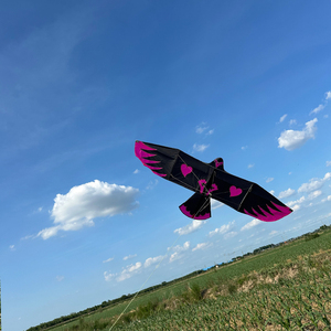 2025 nouveau modèle de <span class=keywords><strong>cerf</strong></span>-<span class=keywords><strong>volant</strong></span> d'aigle de planche 2 et jouet <span class=keywords><strong>volant</strong></span> de brise douce de 3 mètres convient aux activités de plein air pour adultes et enfants - Product Image 3