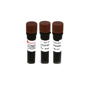 2*Taqman PCR <span class=keywords><strong>MasterMix</strong></span> - Product Image 1