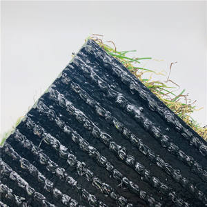 Biodégradable <span class=keywords><strong>graine</strong></span> d'herbe <span class=keywords><strong>de</strong></span> <span class=keywords><strong>tapis</strong></span> <span class=keywords><strong>de</strong></span> <span class=keywords><strong>gazon</strong></span> artificiel <span class=keywords><strong>tapis</strong></span> - Product Image 5