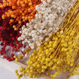 Flores Decorativas de Fábrica, Suministros para Floristería, Ramo de Acacia, Semillas de Lino Secas y Conservadas, Fruta de Jequirity, para el Día de la Madre y Bodas - Product Image 5