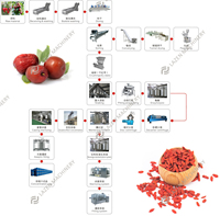 Hoge Kwaliteit Multifunctionele Datum Jujube Jam Melasse Siroop Sap Concentraat Pasta Verwerking Machine Productielijn