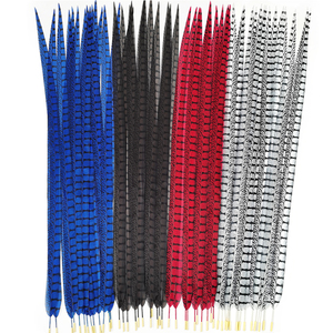 Plumas Artificiales <span class=keywords><strong>de</strong></span> Faisán Lady Amherst <span class=keywords><strong>de</strong></span> 80 cm <span class=keywords><strong>de</strong></span> Largo en Oferta, para Carnaval, Tocados <span class=keywords><strong>de</strong></span> Samba, Decoración <span class=keywords><strong>de</strong></span> Mochilas - Product Image 1