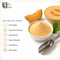Promotion : Poudre de jus de melon miel naturel, idéale pour les boissons, la pâtisserie, les confiseries, le thé au lait et les milkshakes