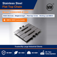 Dubbele scharnierketting in roestvrij staal SS802-805-K1200, 38,1 mm spoed, voor sterilisatielijn en koeltunnel, groothandelsprijs