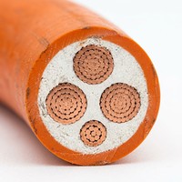 Kabel Daya Tahan Api Berisolasi Mineral Fleksibel NG-A Tembaga Inti 3+1 0.6/1kV untuk Sistem Distribusi Daya