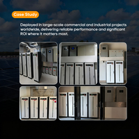 Module empilable de batterie haute tension intelligente Pytes HV48100 51,2 V 100 Ah 5,12 kWh LiFePO4 pour stockage solaire
