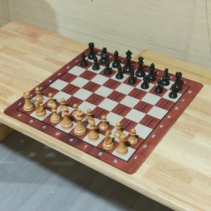 Piezas de Ajedrez King Tall de 3.75 Pulgadas, Estilo Caballero Alemán, Material ABS con Triple Peso (34 piezas/juego), Juego de Ajedrez Winsir - Product Image 4