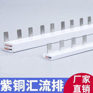 Barre omnibus électrique 63A avec bornier C45/DZ47, disjoncteur 2P, norme DPN, équipement de distribution d'énergie 1P en cuivre - Product Image 2