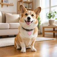 Traceur Bluetooth pour animaux de compagnie, petit chien, chat, chiot, chaton, anti-perte, localisateur intelligent, collier, chercheur d'objets pour iOS et Android