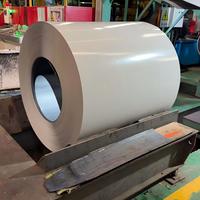 Bobine d'acier galvanisé prépeint RAL9016 OEM, très demandée, norme BS, avec services de pliage, découpe et soudage