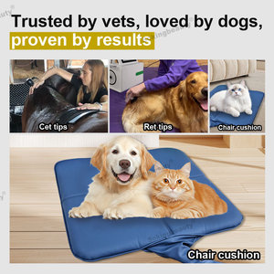 Nuevo y Recomendado: Terapia Magnética Física Portátil PEMF para Caballos, Perros y <span class=keywords><strong>Gatos</strong></span>, Lazo PEMF para Tratamiento Veterinario Equino - Product Image 5