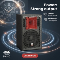 Haut-parleur passif DX-10 de 10 pouces, 8 ohms, 300 W, haut-parleur pleine gamme passif, boîtier en contreplaqué de bouleau pour système audio commercial