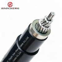 YJLV62 1C Aluminium XLPE Kupfer-Abschirmung Nicht-Magnetisch STA 8.7/15-18/30kV MV Untergrund-Kabel CE VDE UL