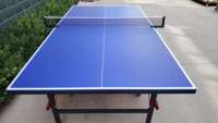 Taille standard internationale de ping-pong avec table de haute qualité