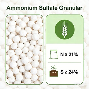 <span class=keywords><strong>Sulfato</strong></span> <span class=keywords><strong>de</strong></span> <span class=keywords><strong>Amonio</strong></span> Granular 21% Nitrógeno 24% Azufre Grado Agrícola Liberación Rápida Fertilizante <span class=keywords><strong>de</strong></span> Flujo Libre - Product Image 3