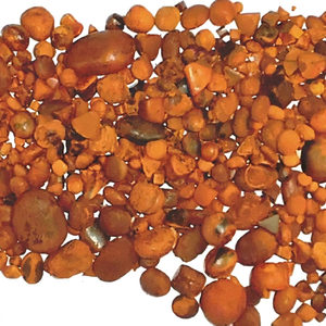 Los Mejores Cálculos Biliares de Buey |   Cálculos Biliares de Ganado |   Tabletas de cálculos biliares de vaca - Solubles en agua, 25 kg/bidón, Suplemento oral de grado alimenticio - Product Image 1