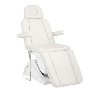 Electric Stainless Steel Foldable Multi-Purpose 3-Section Massage <b>Table</b> & Tattoo Chair with Two-Tray Design for Outdoor Use - Product Image 1