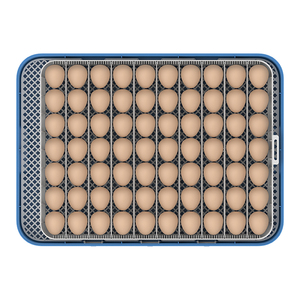 Incubadora <span class=keywords><strong>de</strong></span> <span class=keywords><strong>Huevos</strong></span> Wonegg Totalmente Automática para Granjas Avícolas, Capacidad para 70 <span class=keywords><strong>Huevos</strong></span> <span class=keywords><strong>de</strong></span> Gallina, Codorniz, Ganso, Pájaro <span class=keywords><strong>de</strong></span> <span class=keywords><strong>Guinea</strong></span>, Incubadora Doméstica en Oferta - Product Image 3
