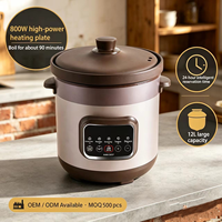 Marmite Électrique en Céramique à Isolation Thermique de 12 Litres, Grande Capacité, Multifonction, pour Soupes, Ragoûts et Congés