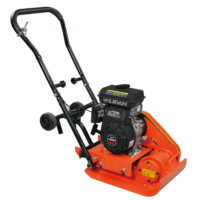 Compacteur à plaques C80t, compacteur vibrant à réservoir d'eau, 80 kg