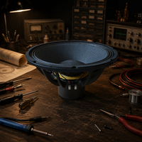 Subwoofer néodyme série PR 18'' 21'' 4000W 5000W 9000W Haut-parleur audio professionnel néodyme