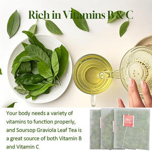 Pabrik Teh Celup Kesehatan, Dukungan Langsung Dropshipping, Teh Daun Sirsak Alami yang Dapat Disesuaikan, Meningkatkan Kesejahteraan dan Penyegaran Tubuh - Product Image 4