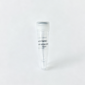 AREG Humano Recombinante EPT131 de Alta Calidad para Investigación - Product Image 1