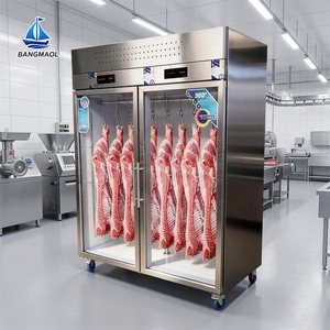 Vitrine réfrigérée verticale pour viande avec porte vitrée, congélateur et étagères pour <span class=keywords><strong>boucherie</strong></span>, idéale pour la présentation et le refroidissement de la viande. - Product Image 1