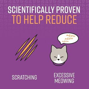 <span class=keywords><strong>Collar</strong></span> Calmante para Gatos con Feromonas de Larga Duración que Ayuda a Calmar a los Gatos por 30 Días, Reduce el Estrés, la Ansiedad, los Ruidos Fuertes y la Separación - Product Image 2