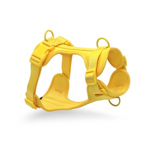 Benutzer definierte Designer Luxus Polyester Nylon Hunde geschirr Set personal isierte verstellbare Luftschicht Neopren <span class=keywords><strong>PVC</strong></span> Leine Halsband Mode - Product Image 1
