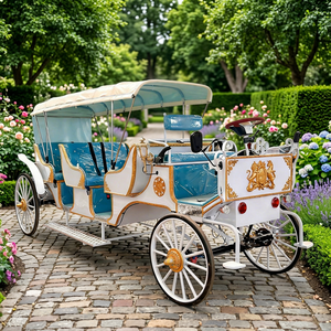 Factory Customized Direct-selling Royal Carriage Luxury Customized 4 Wheel Sightseeing Princess Wedding Carriage - Product Image 1