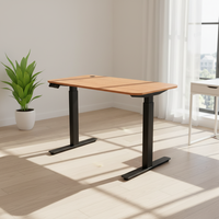 Bureau réglable en hauteur automatique en fer pour poste de travail à domicile avec un design moderne