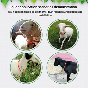Collier de traction réglable pour bétail, chien, vache, mouton, avec sonnette en cuivre et traceur, pour l'engraissement et la traînée, avec tuyau haute pression supplémentaire - Product Image 3