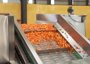 Dây chuyền sản xuất cà rốt xay nhuyễn Chất lượng cao để xử lý hiệu quả, tự động và vệ sinh - Product Image 5