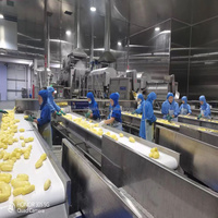 Complete 3 ton/uur, 5 ton/uur, 10 ton/uur verse en diepvries fruit- en groentewas-, snij-, blancheer-, koel- en vriesmachinelijn