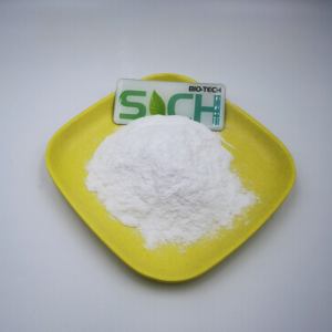 Polvere di L-Carnosina Grado Cosmetico/Alimentare Alta Qualità CAS 305-84-0 99% Polvere di L-Carnosina - Product Image 4