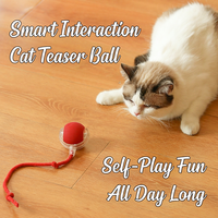 Balle de jeu interactive automatique intelligente en plastique pour chat, jouet roulant rechargeable par USB pour l'exercice des animaux de compagnie