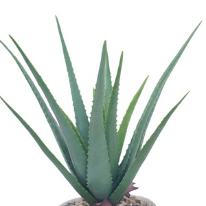 Faux mini plantas suculentas artificiales en maceta cactus falso aloe <span class=keywords><strong>vera</strong></span> Crassulaceae suculentas para jardín boda decoración del hogar Mesa - Product Image 3