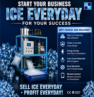 Machine à glace en tube industrielle automatique de 1000 kg/jour à refroidissement par eau pour boissons, supermarchés, marché de Malaisie