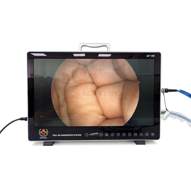 Veterinary Laparoscopic Equipment Endoscopic Image System Usb Video Recording Function Dog/Cat Full hd 3cmos Endoscopy System