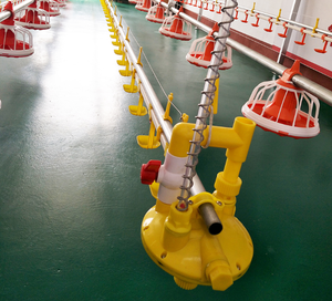 Broiler Floor <strong>Raising</strong> Equipment <strong>Automatic</strong> Poultry Farming Chicken Breeding Pan Feeder and Nipple Drinker Line <strong>System</strong> - Product Image 3
