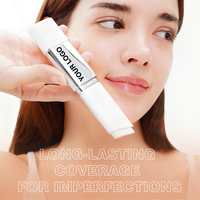 Stick de fond de teint et anticernes deux-en-un personnalisé avec logo OEM, léger, changeant de couleur, hydratant, mat, soin du visage
