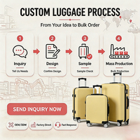 Valise à roulettes pour enfants, 20 pouces, légère, coque rigide, design de dessin animé, logo personnalisé, boîte cadeau avec serrure à code
