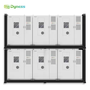 Dyness Dh200f 200kwh 1mwh 2mwh Bess Container Energieopslagsysteem Alles In Één Lifepo4 Energieopslagbatterij