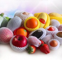 Obstnetz-Schutz beutel für Trauben-PE-Insekten schutz netz, Groß bestellung für Supermarkt verpackungen