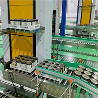 ENAK Aangepaste Complete Verwerkingslijn voor Geblikte Perziken, Abrikozen en Pruimen voor Sap, Puree, Jam en Geblikte Fruitproducten